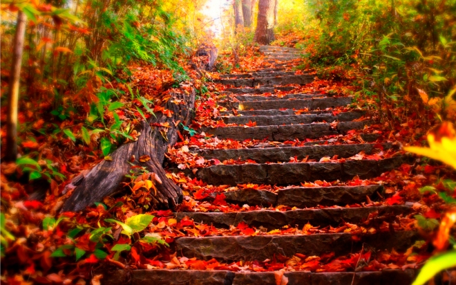 fall_steps
